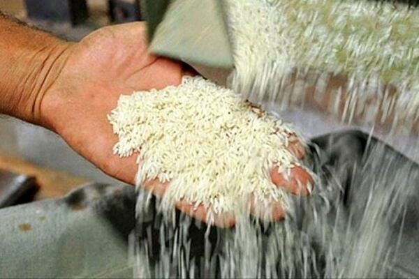 توزیع برنج تنظیم بازاری از امروز
