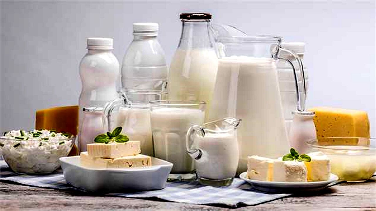 قیمت لبنیات تغییر نمی‌کند