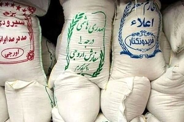 برنج ایرانی همچنان گران می‌شود؛ هر کیلو نزدیک به ۲۰۰ هزار تومان
