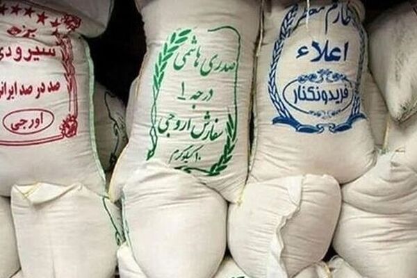 برنج ایرانی همچنان گران می‌شود؛ هر کیلو نزدیک به ۲۰۰ هزار تومان
