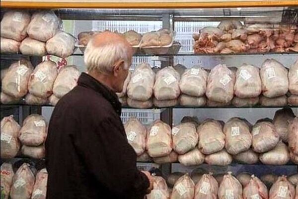 قیمت مرغ بازهم بالاتر می‌پرد؟