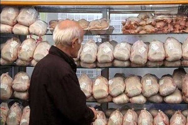 قیمت مرغ بازهم بالاتر می‌پرد؟