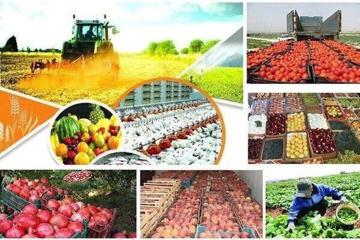رشد۲۳درصدی صادرات محصولات غذایی وکشاورزی/ ۲۰ مقصد نخست محصولات