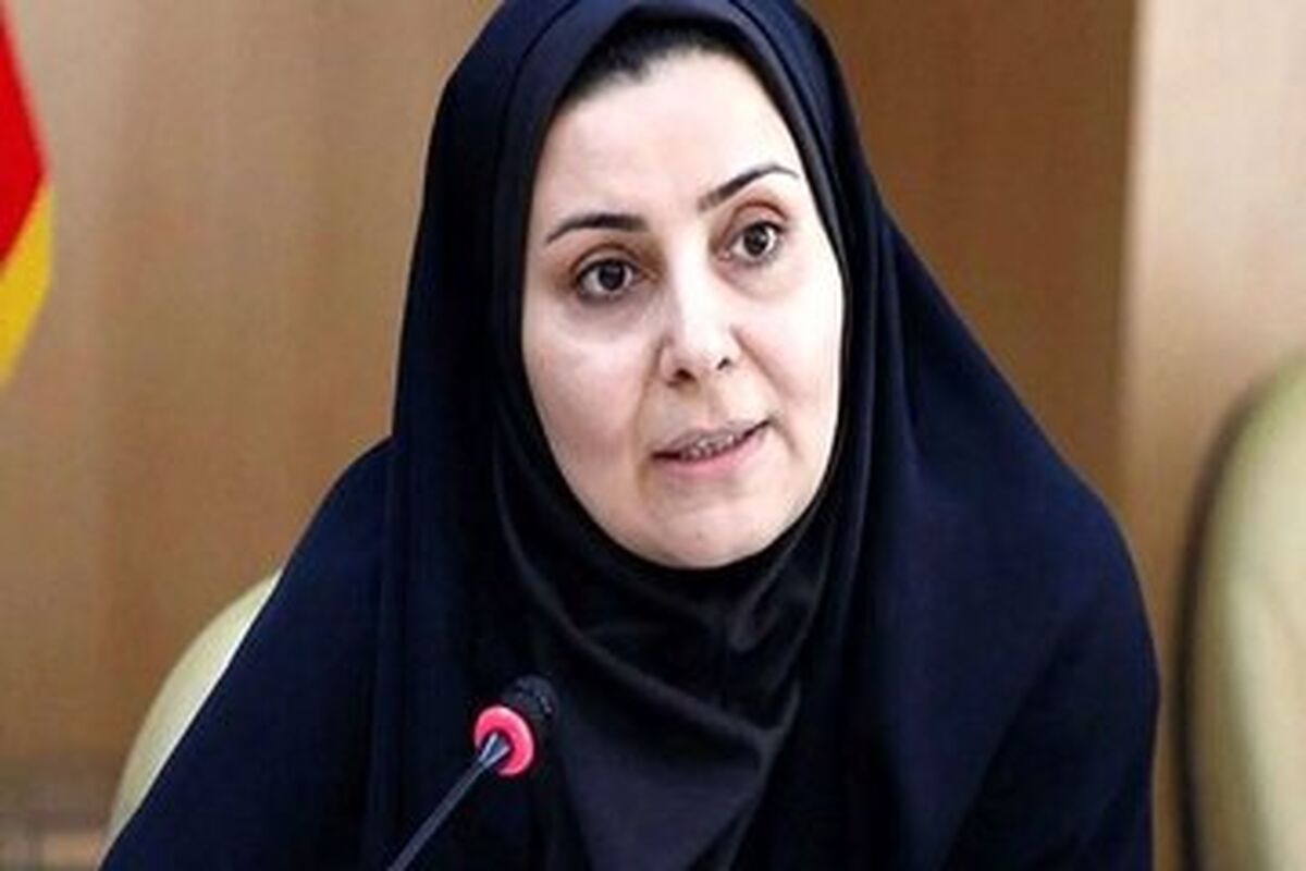 صادق: عوارض وضع شده بر رانندگان ایرانی در ترکیه لغو شد

