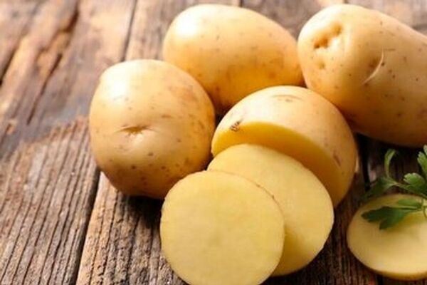 قیمت سیب زمینی؛ فقط ۷۵ هزار تومان!/ وزیر کشاورزی دقیقا مشغول چه کاری است؟
