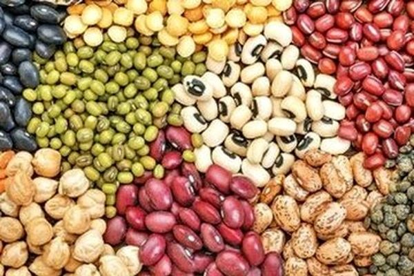 حبوبات هم لاکچری شد؛ قیمت لوبیا به ۵۰۰ هزار تومان رسید