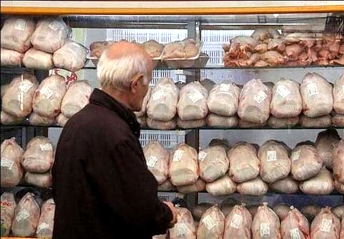 مرغ کمیاب شد
