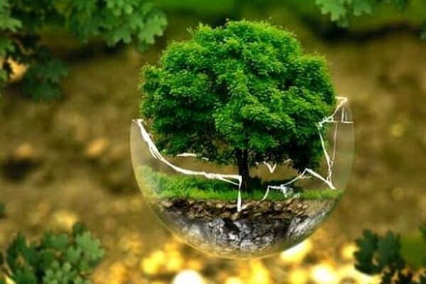 ثروتمندترین کشورهای جهان بر اساس منابع طبیعی/ اینفوگرافیک