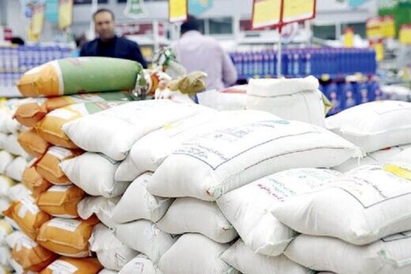کلاه بزرگ بر سر شالیکاران