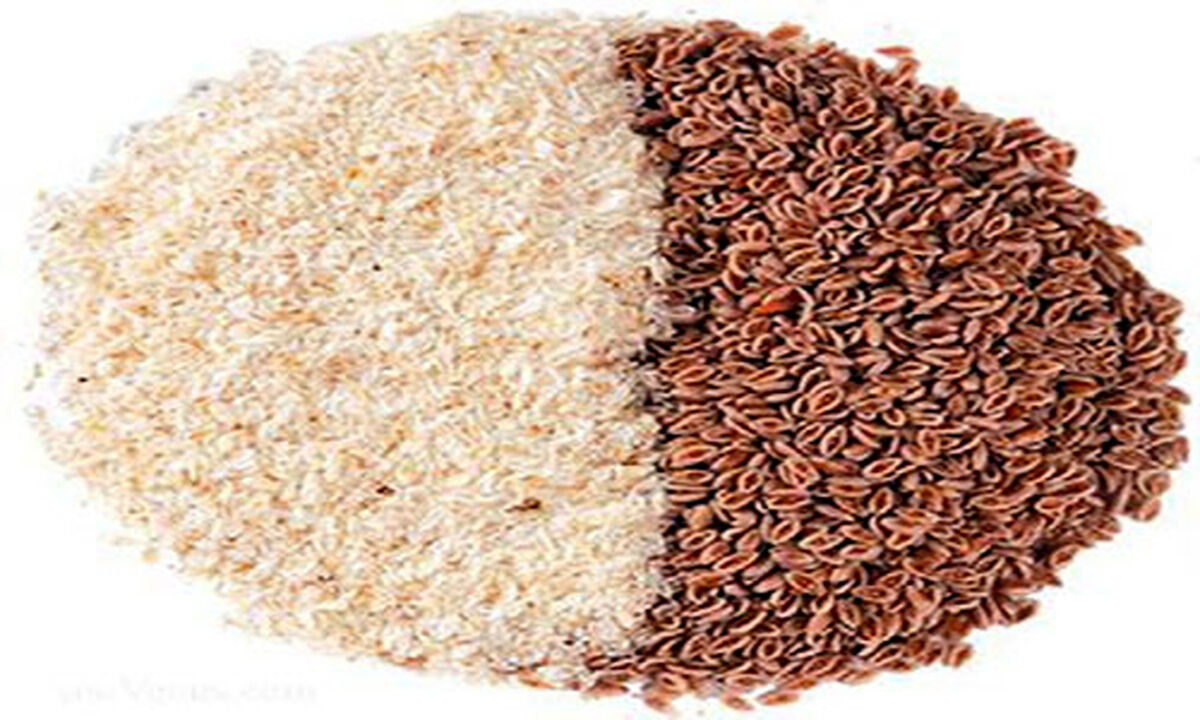 جایگزین گوارگام