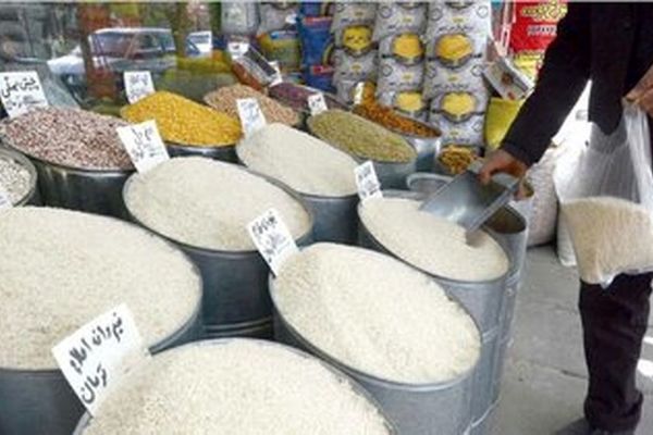قیمت برنج ایرانی به کیلویی ۲۵۰ هزار تومان رسید
