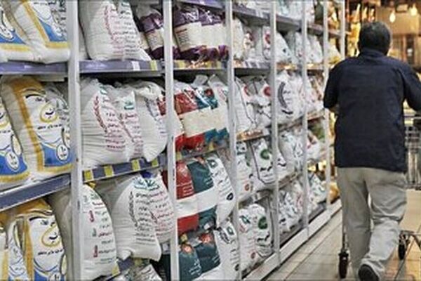 واردات برنج خارجی را به خرید برنج ایرانی گره نزنید
