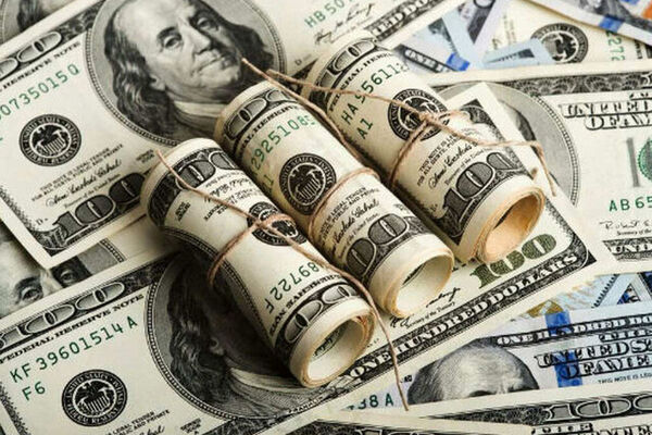 کدام گروه از بانک مرکزی بیشترین ارز را گرفتند؟
