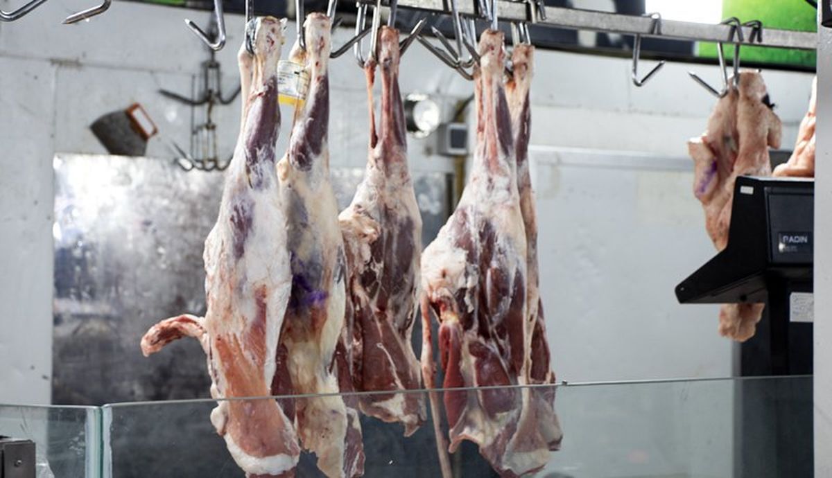 سال بعد گوشت به کمتر از ۵۰۰ هزار تومان می رسد