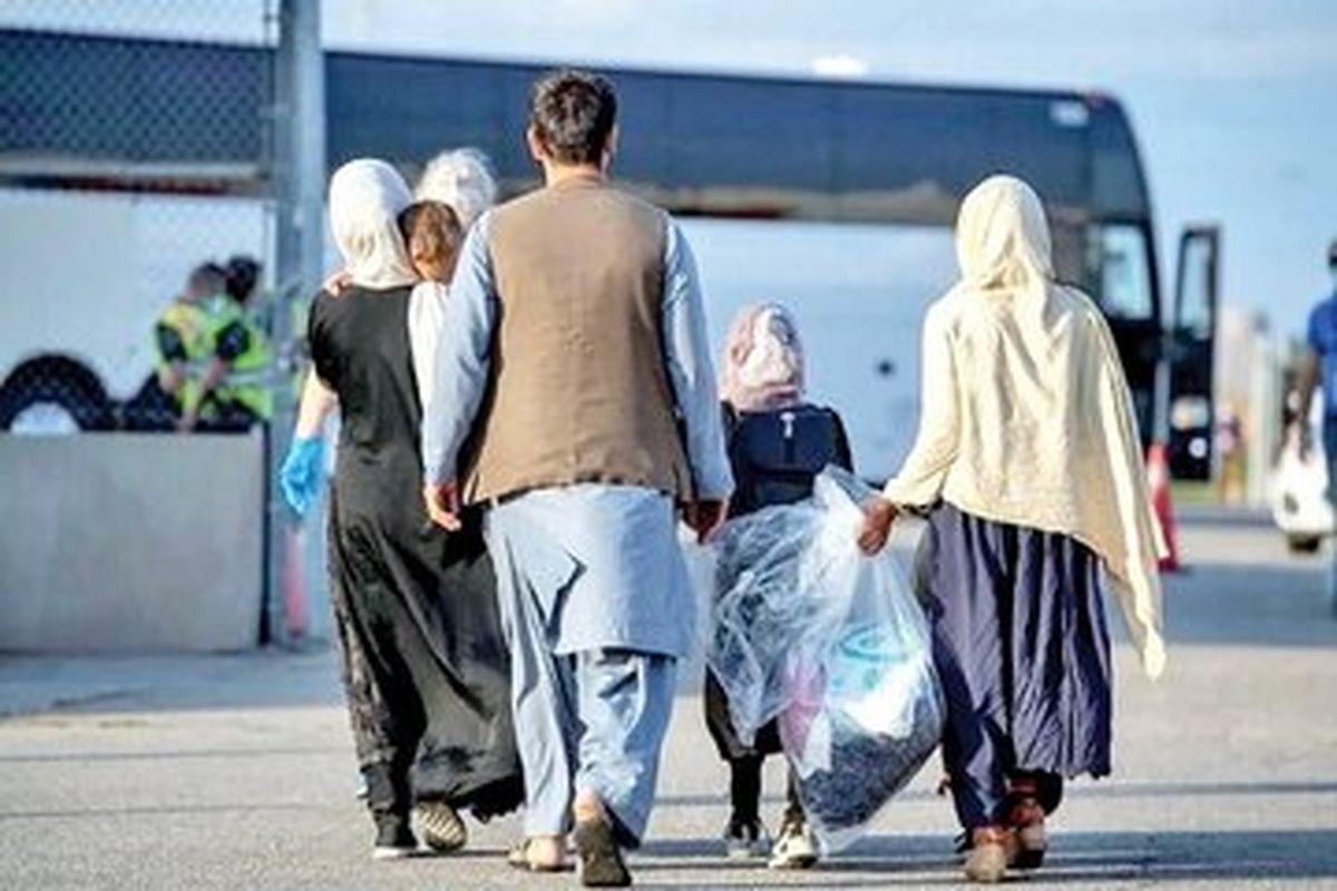 افغان ها اجاره بهای مسکن را بالا کشیدند

