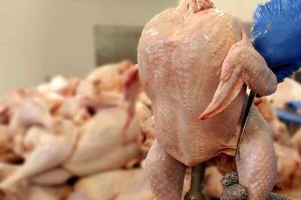 منتظر گران شدن قیمت مرغ باشیم