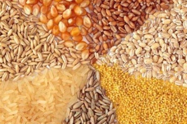 قیمت مصوب جدید نهاده های دامی، روغن و شکر خام اعلام شد