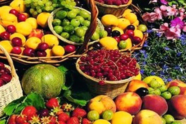 راز گرانی میوه چیست؟