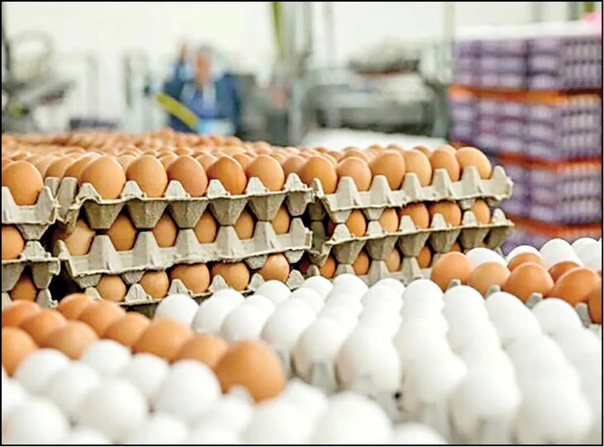 معمای تخم مرغ ۶۰۰ هزار تومانی