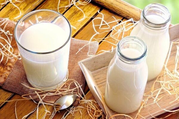 قضیه حذف قیمت دستوری لبنیات چه بود؟
