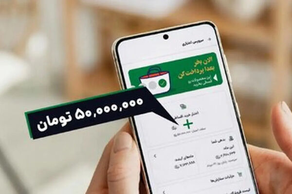پشت پرده فروش قسطی در پلتفرم‌های اینترنتی/ شامپوی ۴۵۰ هزار تومانی را ۸۵۰ هزار تومان می‌فروشند!