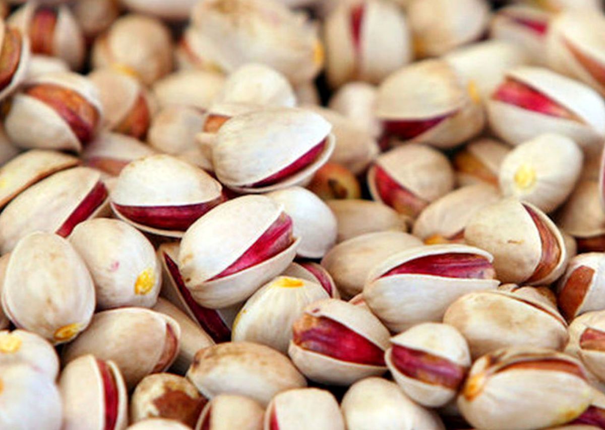 ماجرای ممنوعیت صادرات پسته ایران به اروپا
