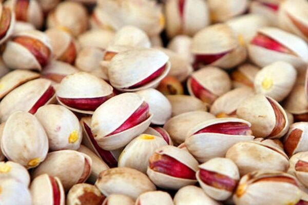 ماجرای ممنوعیت صادرات پسته ایران به اروپا
