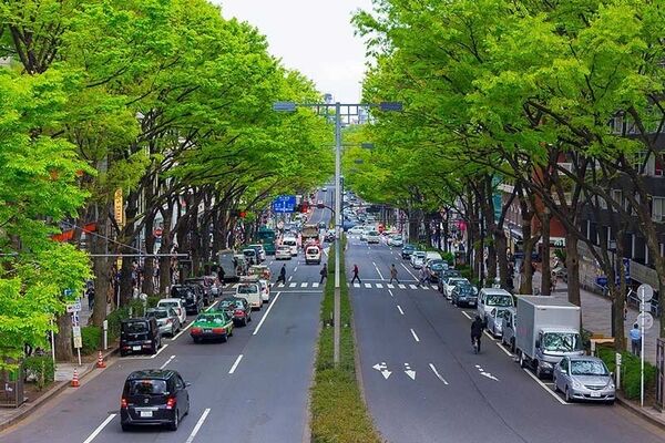 سرزمین خودروهای کوچک، در قلب صنعت خودروسازی / چرا در  ژاپن لندکروز سوار نمی‌شوند؟
