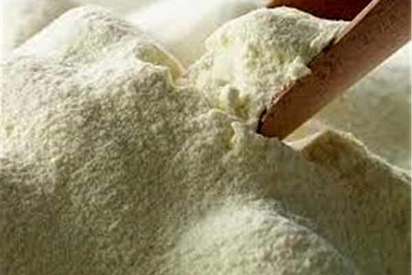 واردات ۴ میلیون قوطی شیرخشک
