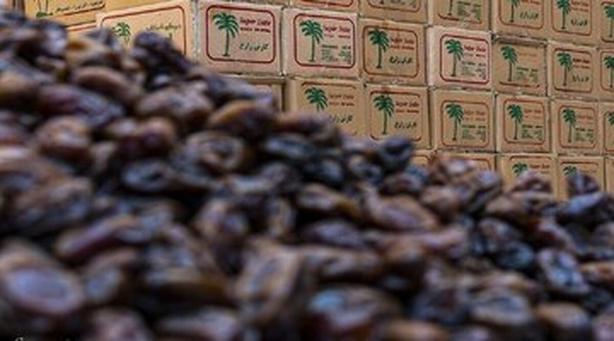 قیمت نجومی خرما در ماه رمضان؛ هر کیلو خرما چند؟