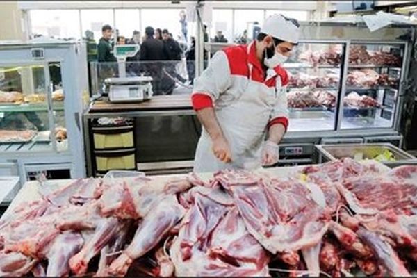 گوشت ارزان به بازار آمد