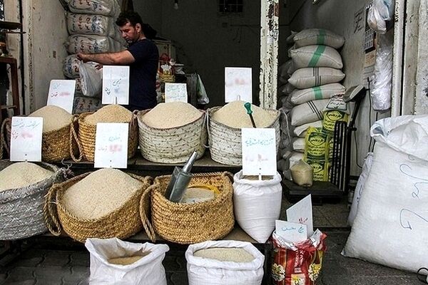 قیمت برنج ایرانی به کیلویی ۲۵۰ هزار تومان رسید