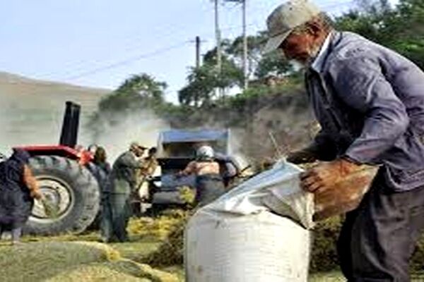 «حقوق» بازنشستگان صندوق روستاییان ۲۰ درصد افزایش یافت/ احتمال اجرای متناسب‌سازی‌ در نیمه امسال