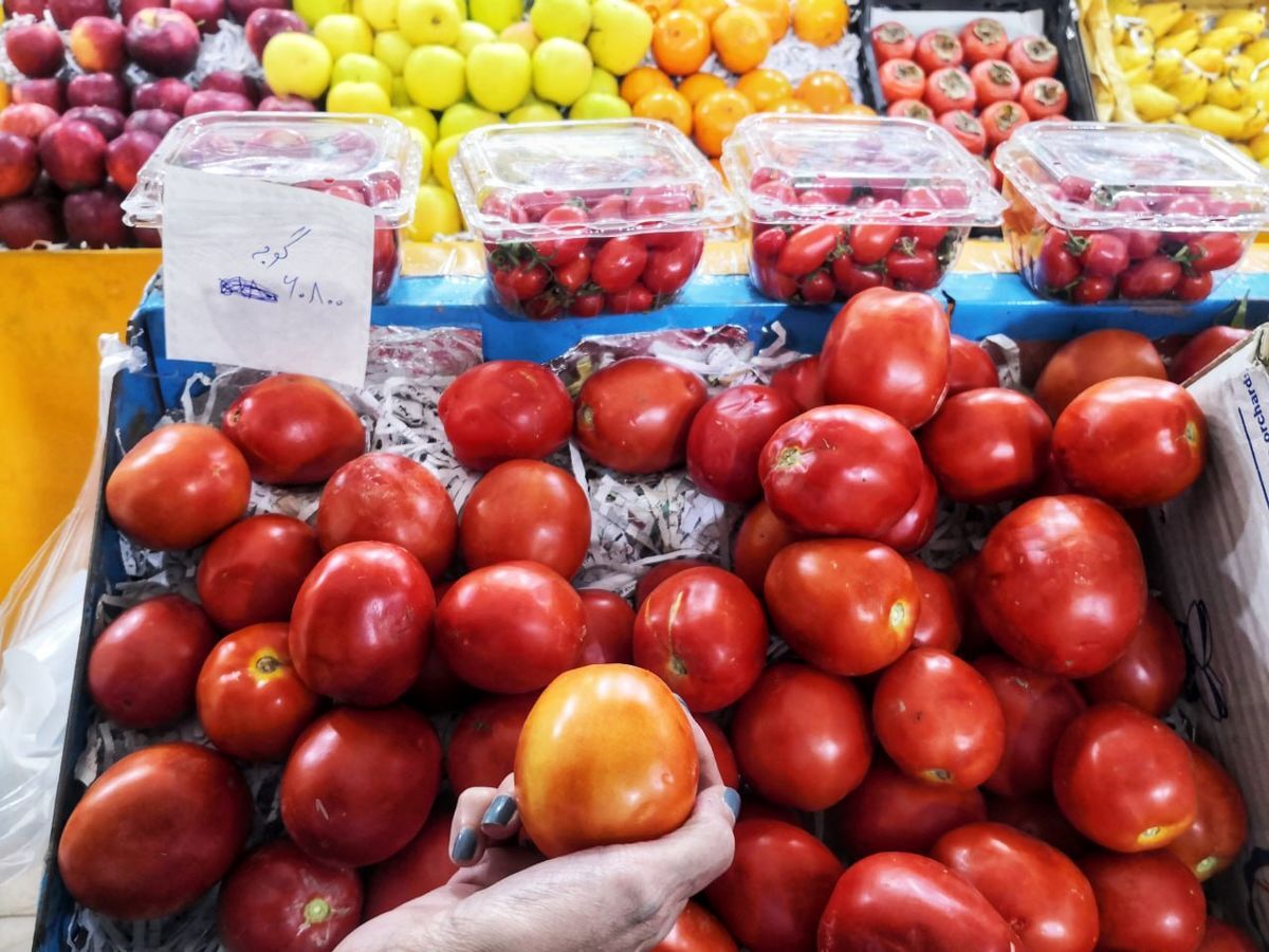 بازار گوجه فرنگی متعادل می شود