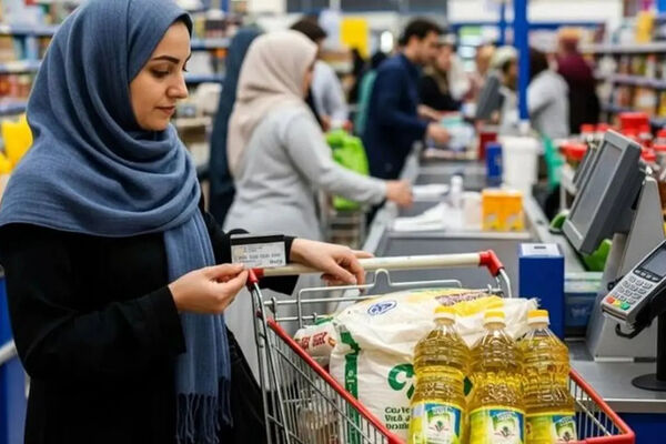 مدیرعامل سازمان هدفمندی یارانه‌ها: رقم جدید کالابرگ از مهر برای مشمولان شارژ می‌شود/