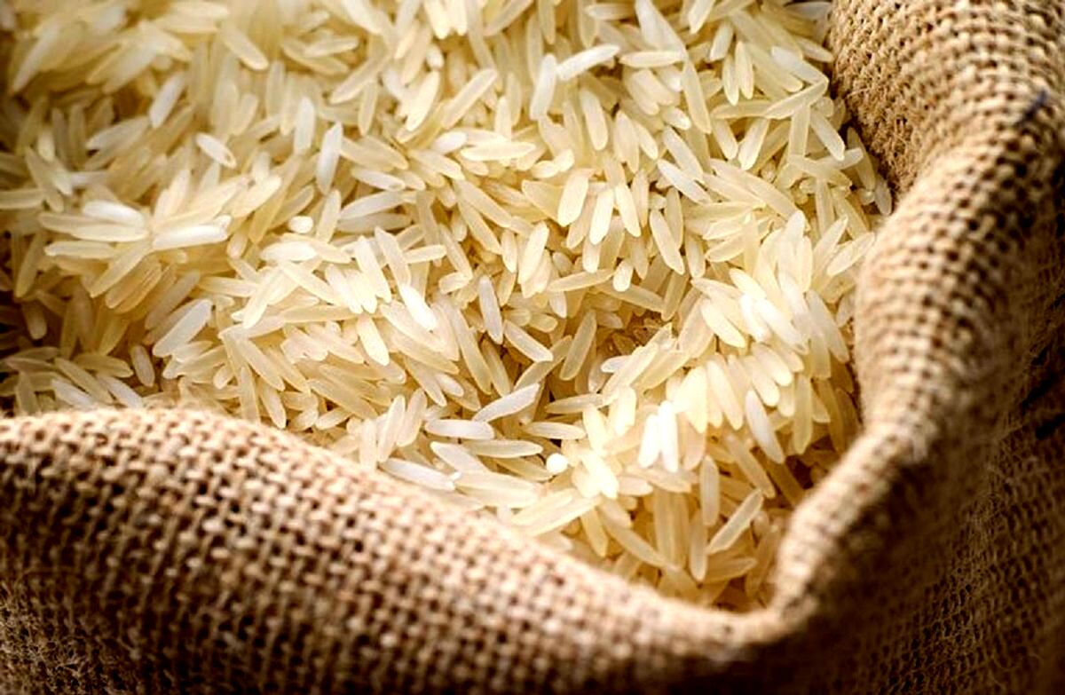 افزایش ۳۰ تا ۴۰ درصدی قیمت برنج
