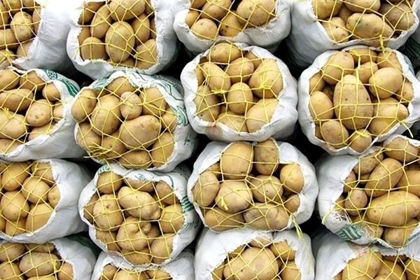سیب زمینی وارداتی با قیمت ۲۹,۵۰۰ تومان وارد کشور شد
