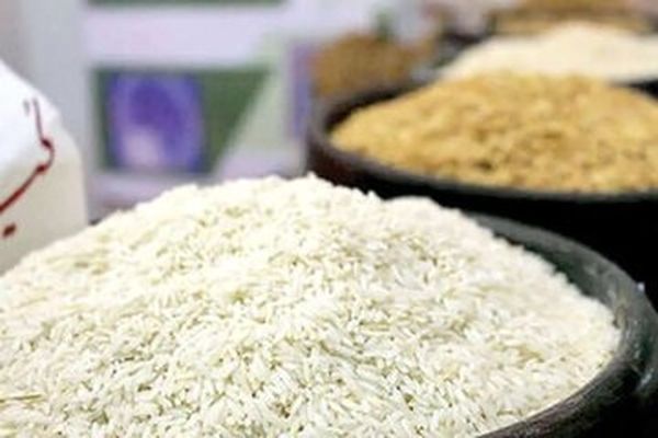 کلاه بزرگ بر سر شالیکاران