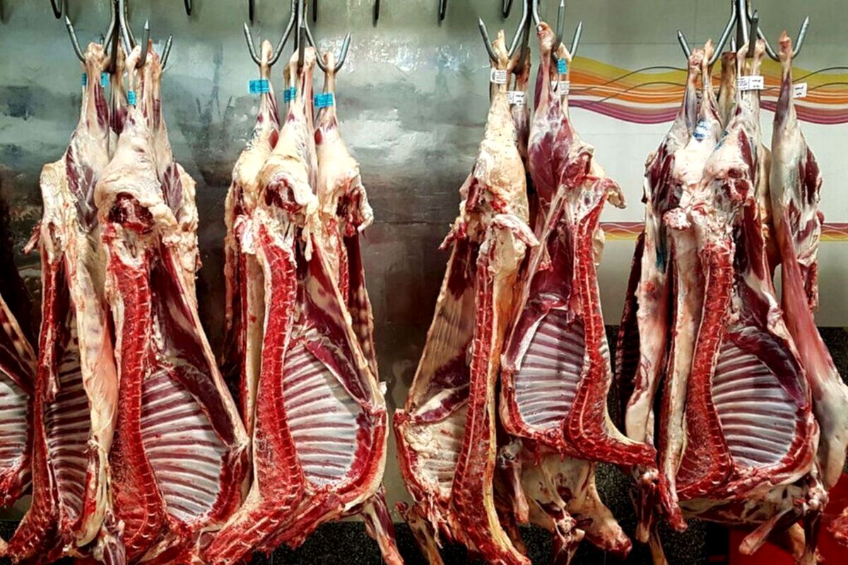 دلایل ادامه توقف عرضه گوشت گرم تنظیم بازاری
