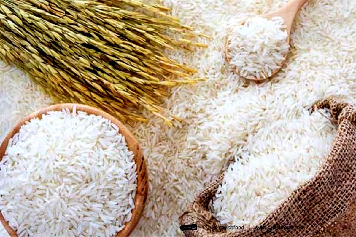 واردات برنج شروع شد/ قیمت پایین می‌آید؟
