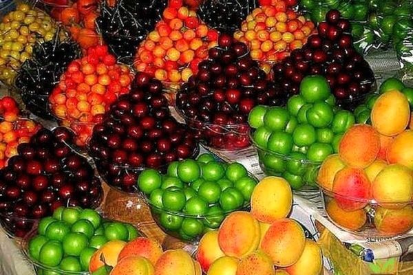 نوبرانه های پاییزی نجومی قیمت خوردند؛ نارنگی کیلویی ۱۳۸ هزار