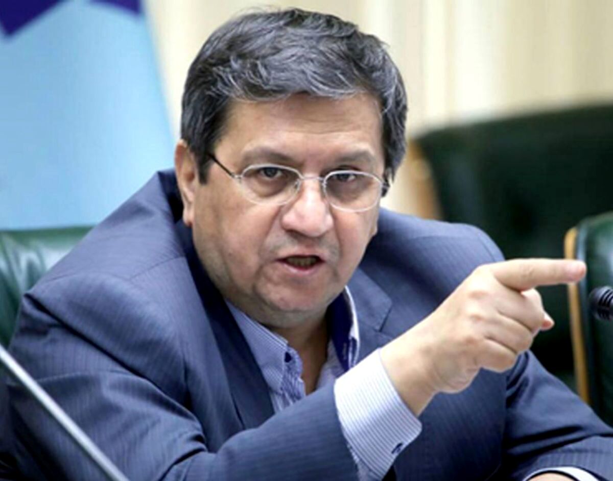 همتی: تلاش دولت یافتن فراریان مالیاتی است/ دانه درشت ها علیه اجرای قانون تبلیغ می‌کنند
