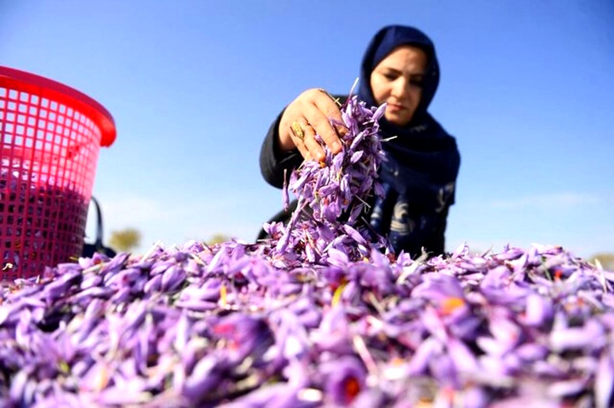 تسهیلات مشاغل خانگی چقدر شد؟