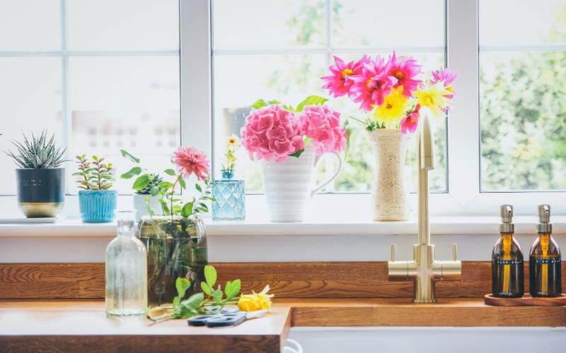 بهترین گل‌های آپارتمانی برای چیدمان زیبا در منزل کدام‌اند؟
