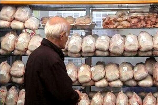کاهش قیمت مرغ طی روزهای گذشته
