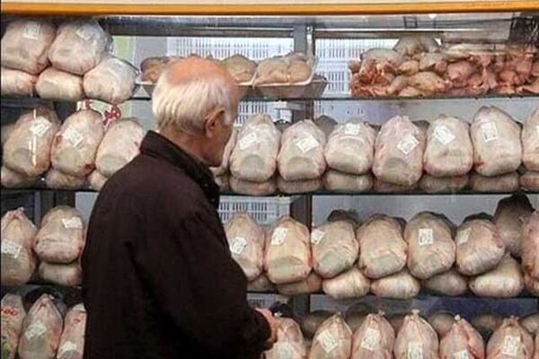 کاهش قیمت مرغ طی روزهای گذشته
