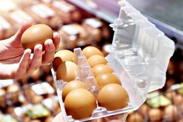 قیمت خرید حمایتی تخم مرغ اعلام شد