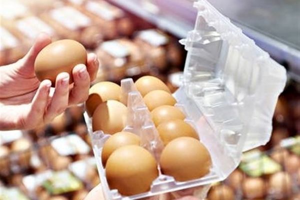قیمت خرید حمایتی تخم مرغ اعلام شد
