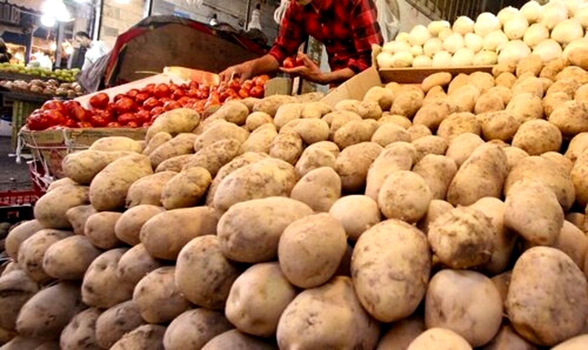 سیب زمینی هم لاکچری شد؛ قیمت هر کیلوگرم سیب زمینی به ۶۰ هزار تومان رسید
