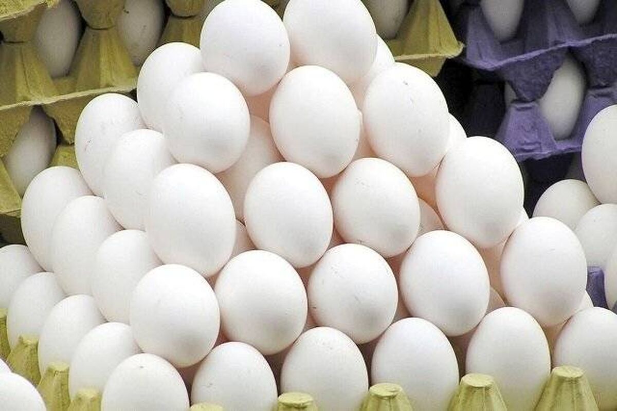 تغییر بسته‌بندی تخم‌مرغ، روش محتکران برای دور زدن نرخ مصوب!